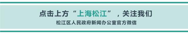 上海松江春风行动招聘会,上海松江区招聘会2024时间表