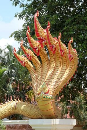 越南十二生肖为什么没有兔而是猫,十二生肖里有猫有蛇