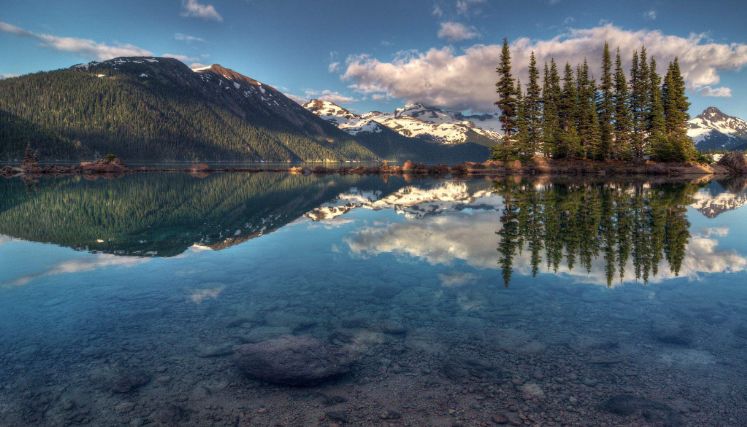 被前中国首富盯上的这块“蛋糕”距世界一流还有多远？｜凤旅观察