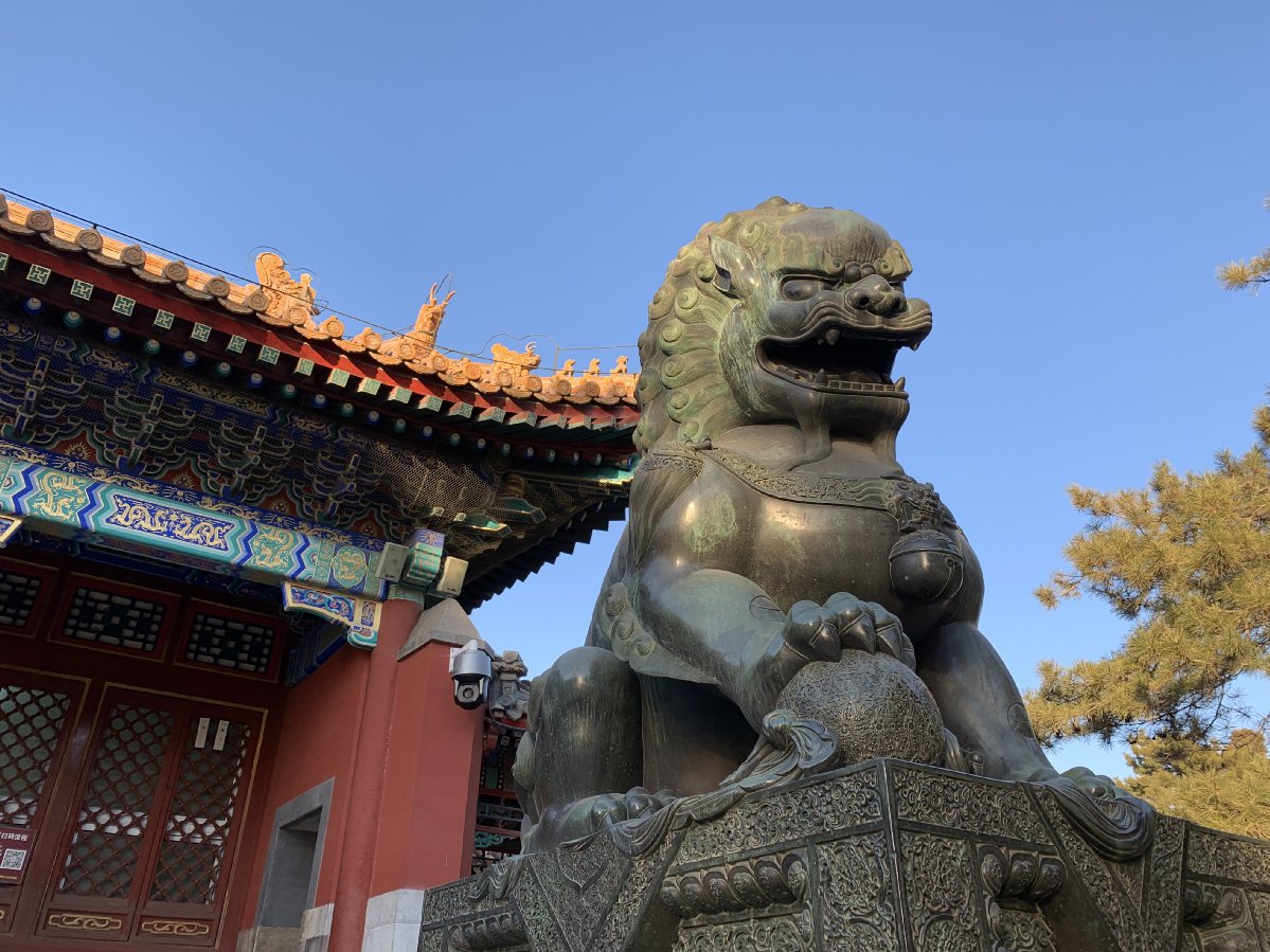 苹果xr主要是哪个摄像头拍照,苹果xr到苹果15前后置摄像头