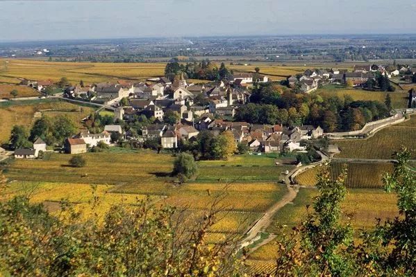 低价值得收藏的葡萄酒,法国葡萄酒199元6瓶