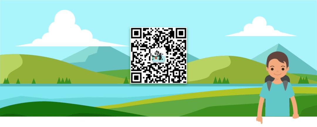 粽子的创始者,粽子界佼佼者