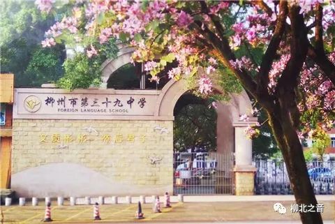 哪所大学校园最美,哪个学校是你心中最美校园图文