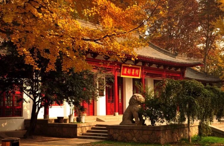 西安最美公园秋景图片,西安动物园旅游手绘示意图