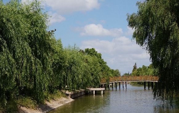 崇明好的民宿树屋,上海崇明农庄民宿