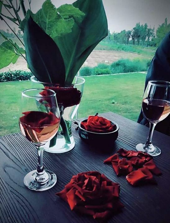 崇明好的民宿树屋,上海崇明农庄民宿