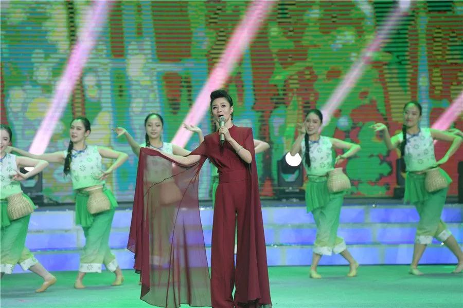 《唱响九州百戏盛典》“有戏安徽”2019全国戏迷春节联欢晚会精彩上演