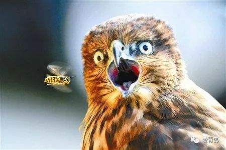 海淘上的东西是不是真品,海淘全是假货