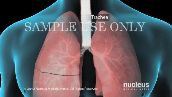 男子哮喘发作喘不过气,哮喘发作呼吸不顺畅