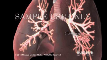 男子哮喘发作喘不过气,哮喘发作呼吸不顺畅