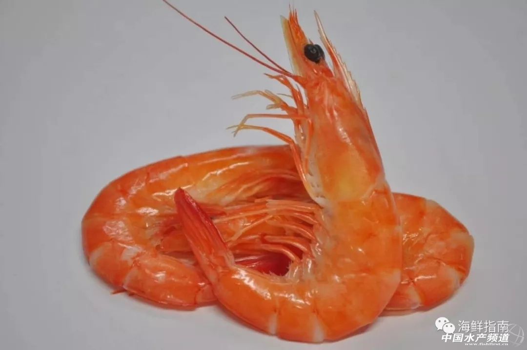 饭店的白灼虾为什么那么好吃,大排档的白灼虾为什么那么鲜甜