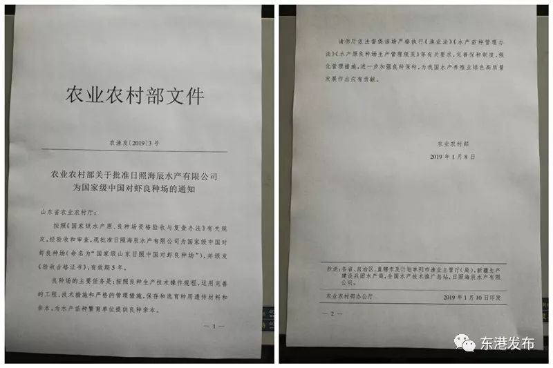 中国最大的对虾养殖基地在哪里呢,东港对虾养殖基地在哪里