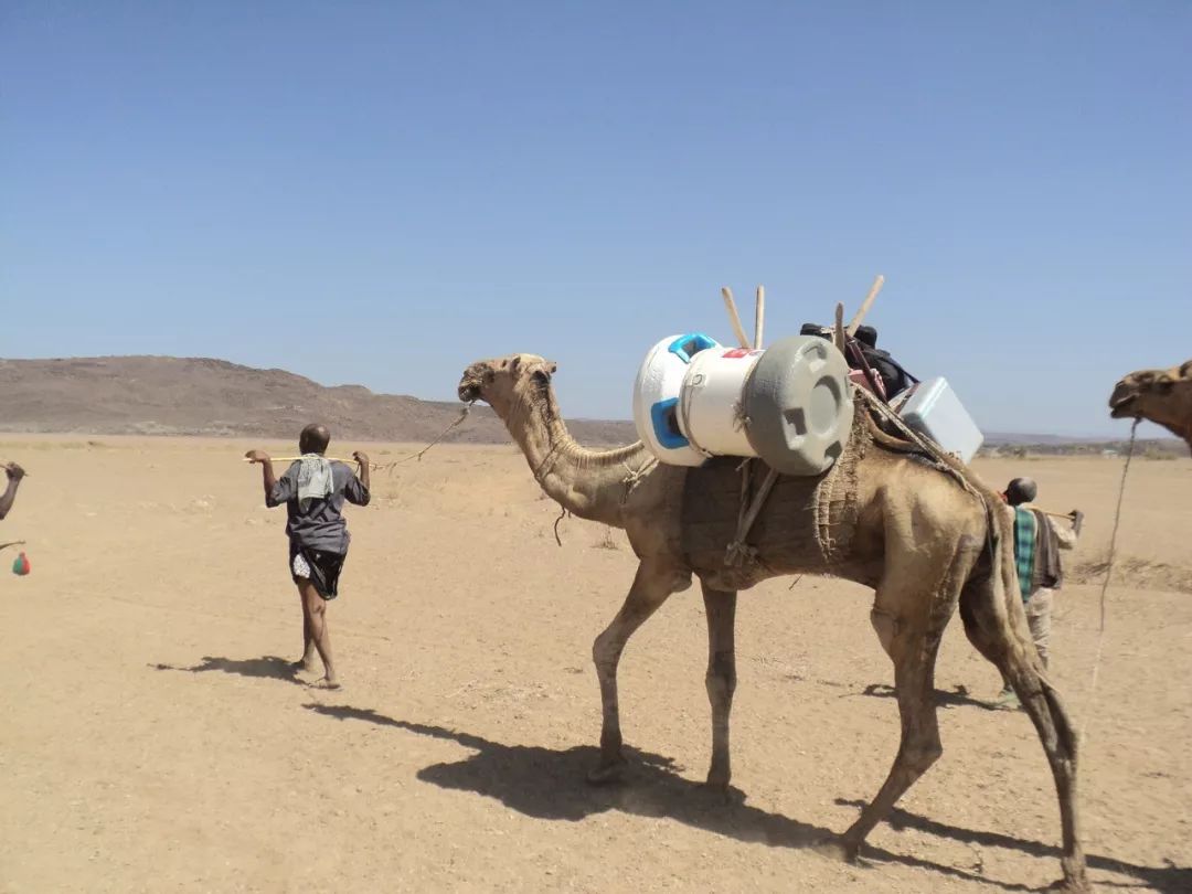 璐㈠瘜骞村害灏侀潰瑙嗛,璐㈠瘜骞村害灏侀潰