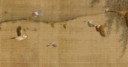 是时候让日本青少年看看中国的动漫了！