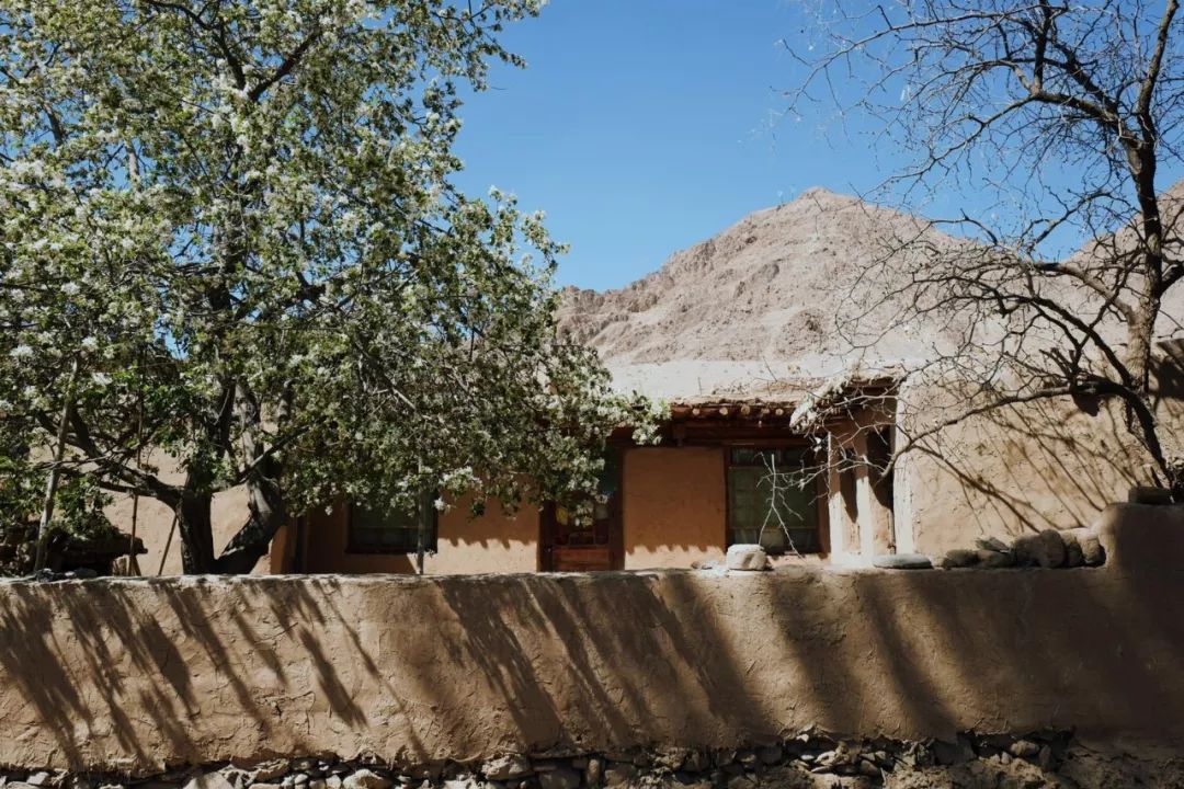 沙漠一年出现的奇观,沙漠黄河的奇景