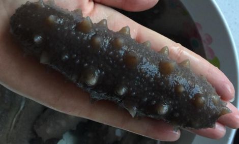 最新判例：职业打假人花10万买“问题”海参，终审获赔100万！（判决书）