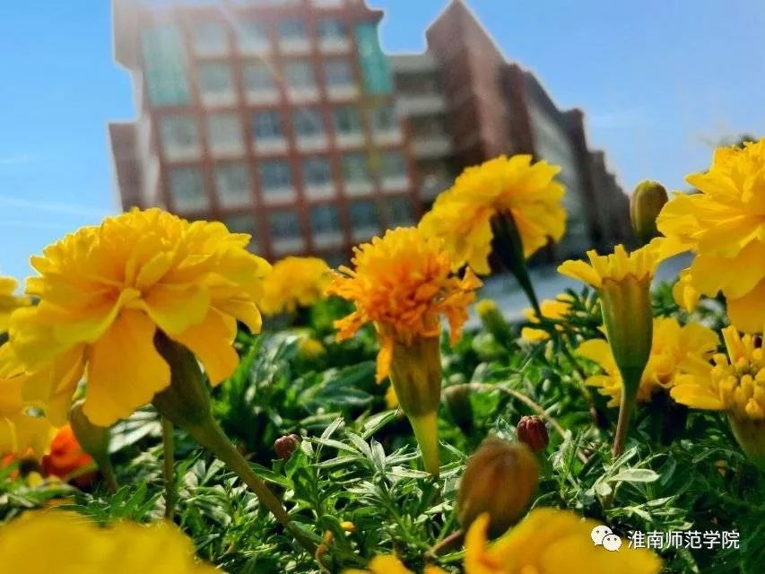 在师院，我想陪你从A走到Z