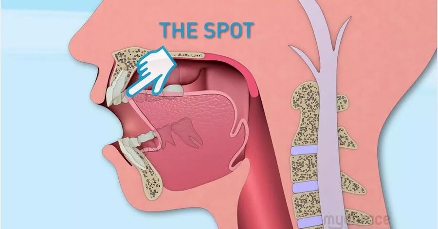 每天坚持10分钟瘦脸,每天坚持这三个动作帮你瘦身美体