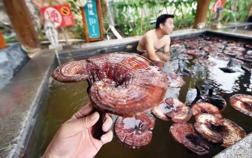 洛阳凤翔温泉特价门票夜泡,洛阳凤翔温泉的免费模式