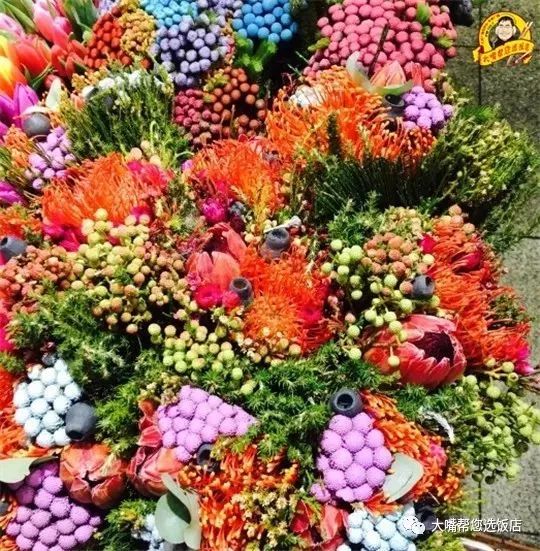 大连免费赏花好去处,逛遍大连