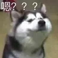 姑娘花400元租辆奔驰车参加聚会，却要面临近20万索赔