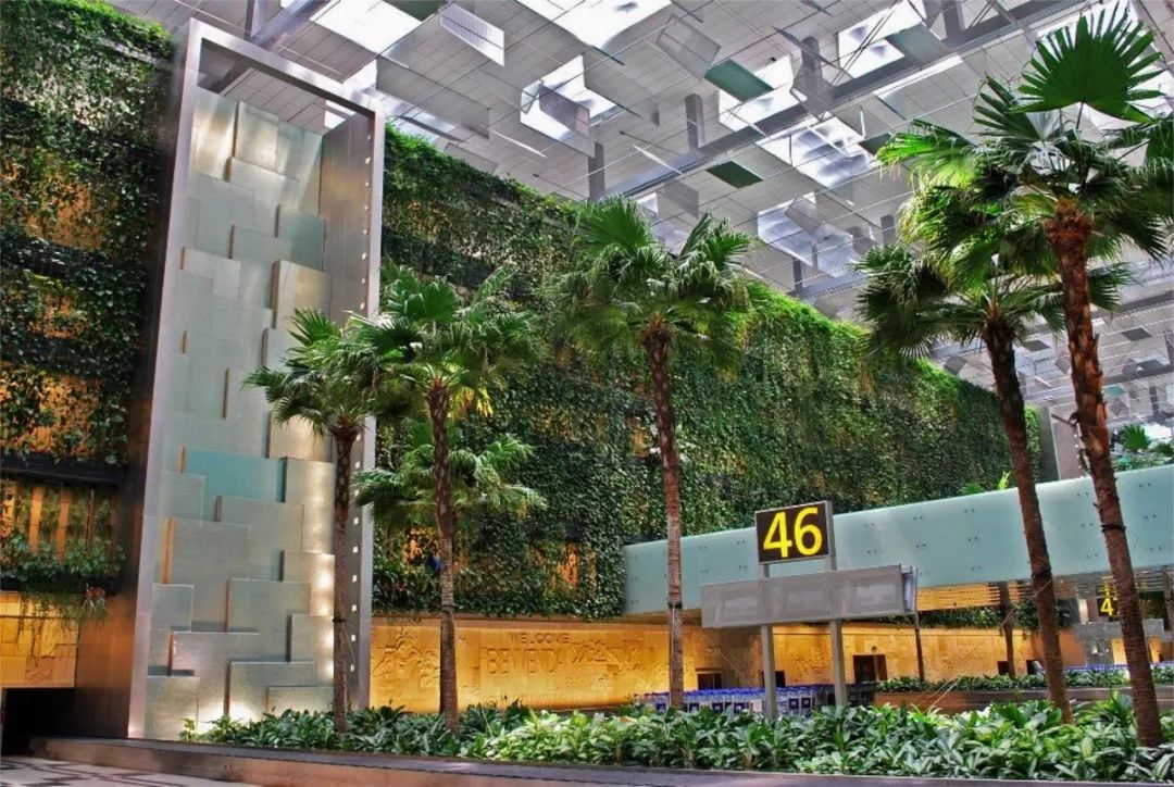 雅诗兰黛sk2值得买吗,skii和雅诗兰黛哪个好用