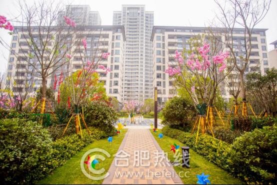 祥源金港湾最新视频,祥源金港湾楼盘怎么样