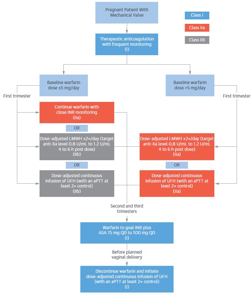 妊娠期如何合理使用药,妊娠期疾病的用药指导