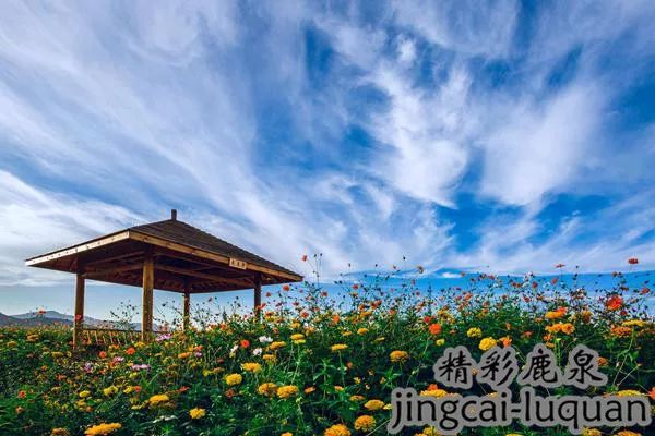 2018鹿泉的“政府帐本”来了！