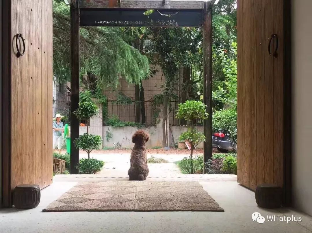 武汉东湖小白民宿,武汉森林玻璃房民宿