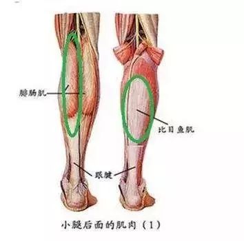 练腿的攻略,练腿诀窍