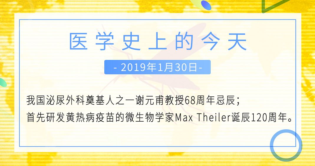 发现结石怎么治疗比较妥善,怎么预防结石官方权威回答