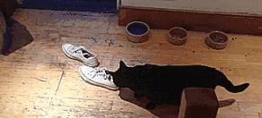 这颗小白球,居然彻底治愈了我的脚臭,日本家庭必备的除臭杀菌神物,三分钟还你一个清新的“脚气”!