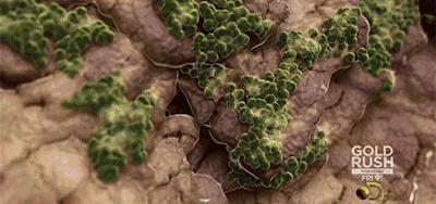 这颗小白球,居然彻底治愈了我的脚臭,日本家庭必备的除臭杀菌神物,三分钟还你一个清新的“脚气”!