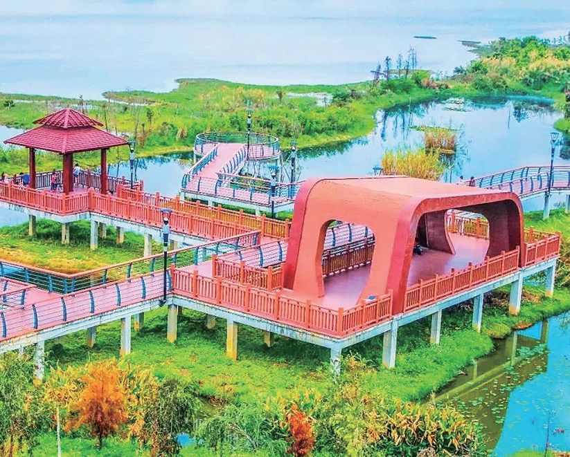 带你玩转深圳攻略在这里,深圳一日游详细攻略大全最新