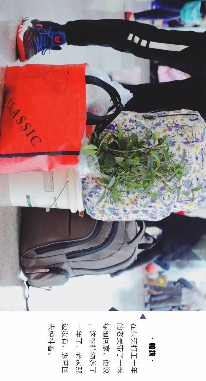 行李中的春节：我们采访了20位从广州归家的人，发现他们带了这些礼物……