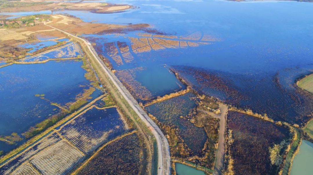武汉竹叶海湖生态湿地公园,武汉东湖绿道湿地公园