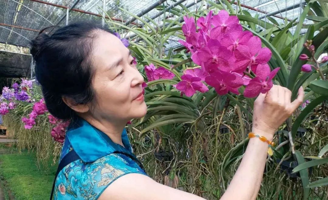 中国大妈外出旅游跨栏,大妈旅游动作