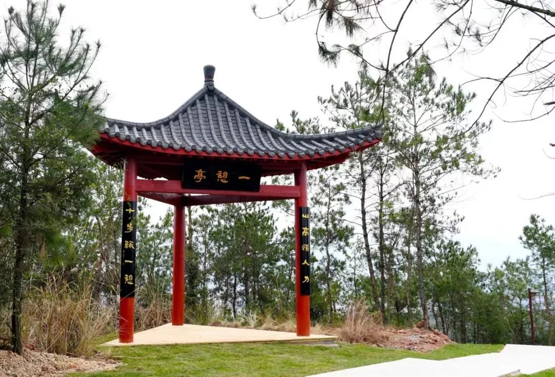 赣州最好玩的公园不要门票,离赣州最近的森林公园还有多远