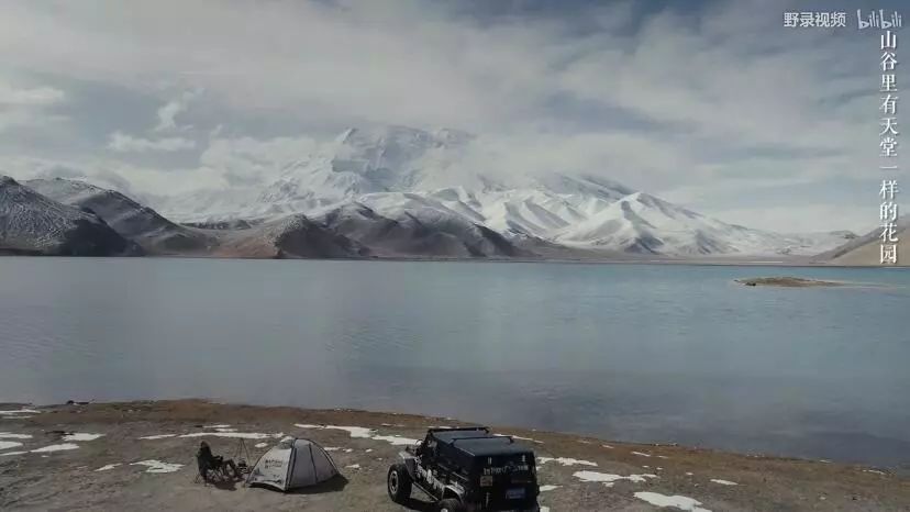 过年了,我们把这些私藏真爱送给你