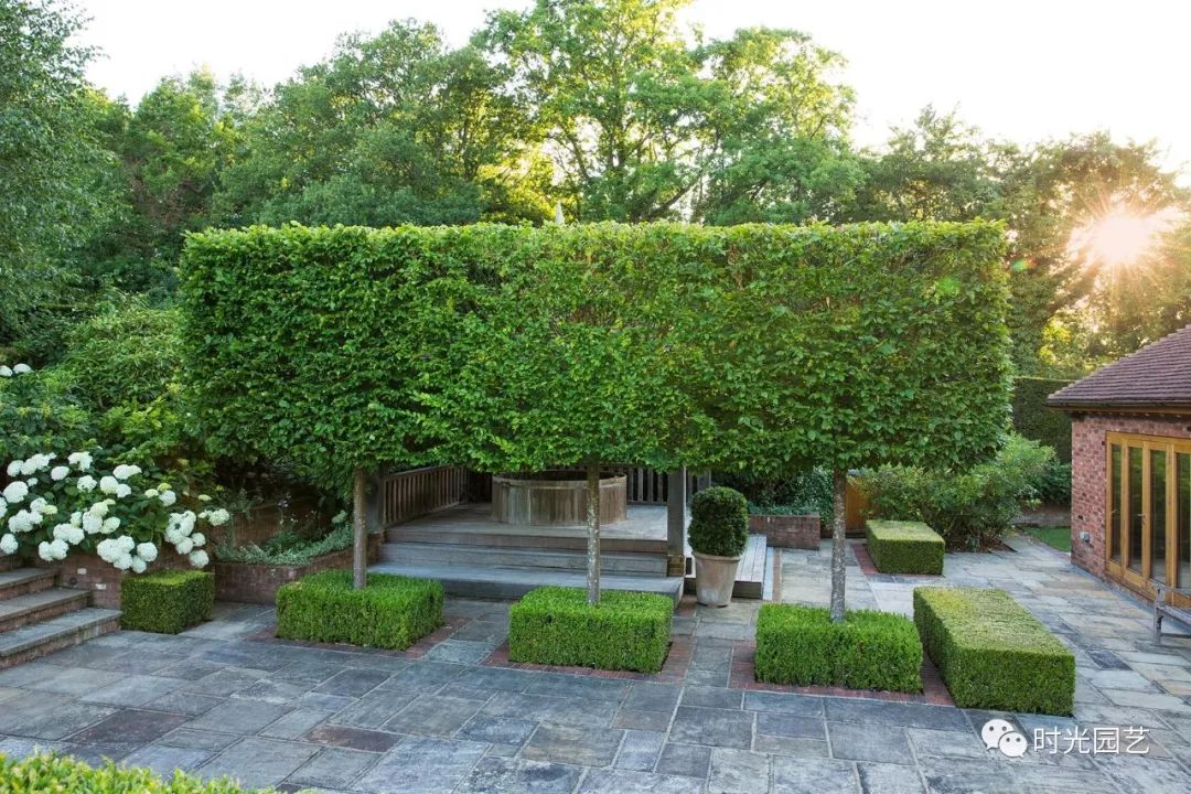 景｜肯特郡温泉花园｜JoThompsonLandscapeGardenDesign