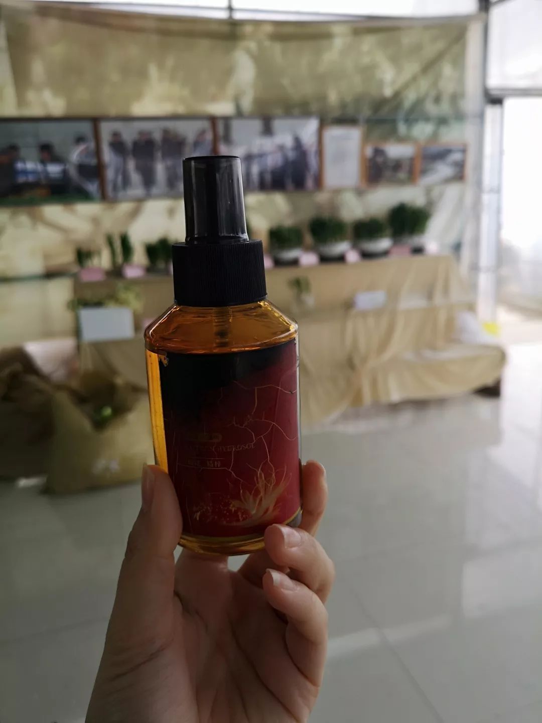 沪郊冬魅｜寒冬岁杪，清供一盆馨香，又到一年水仙时