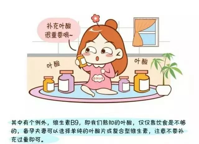 想生个猪宝宝吗,想生个猪宝宝