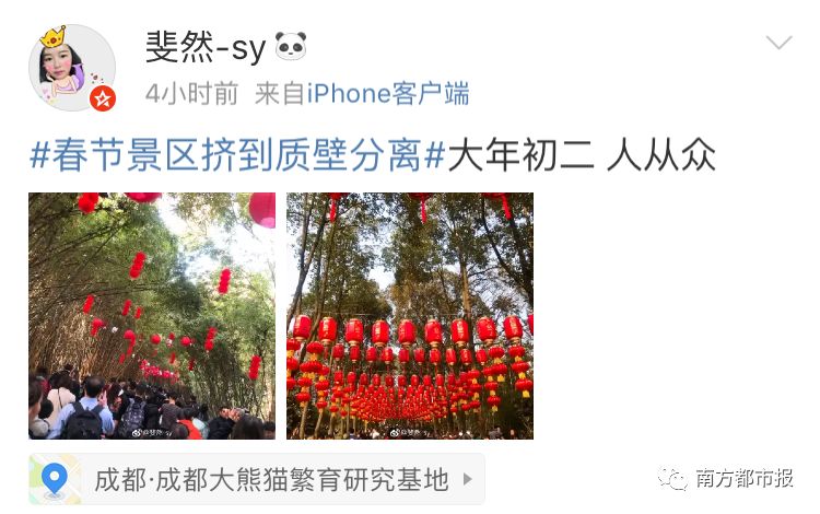 人从众第四个字怎么念,人从众什么意思