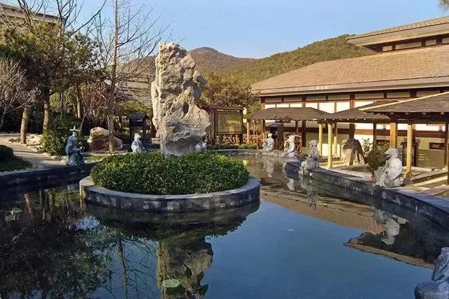 大连摘草莓一日游,大连摘草莓适合去的地方