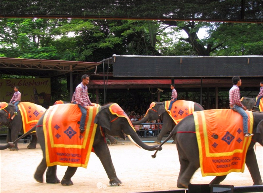 發泰泰泰国餐厅,泰泰發-泰国大排档