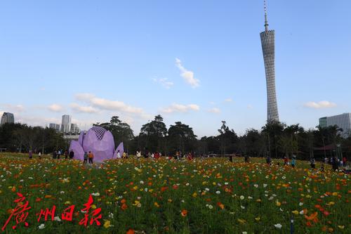 旅游热门城市一房难求,一房难求旅游景点