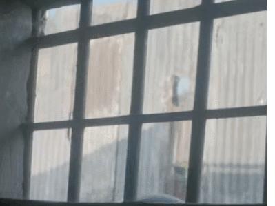 全世界最穷的总统,世界上最穷的国家总统