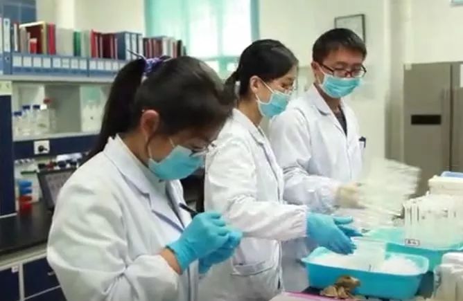 中国科学院院士颜宁老师,颜宁教授最新讲座