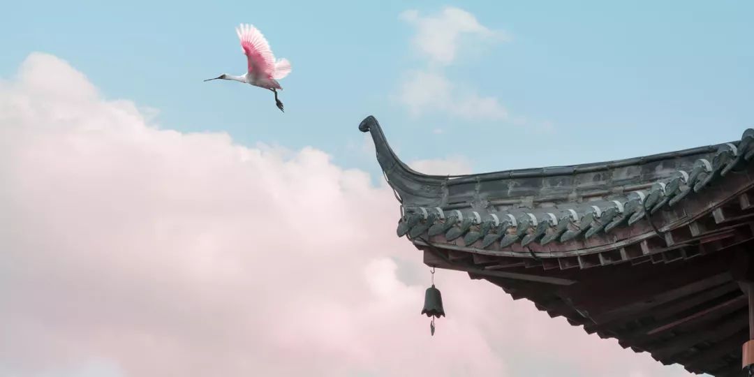 我见过最才华横溢的诗,关于才华横溢的诗句有哪些